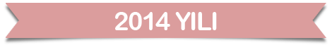 2014yili