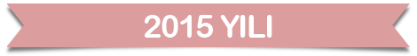 2014yili